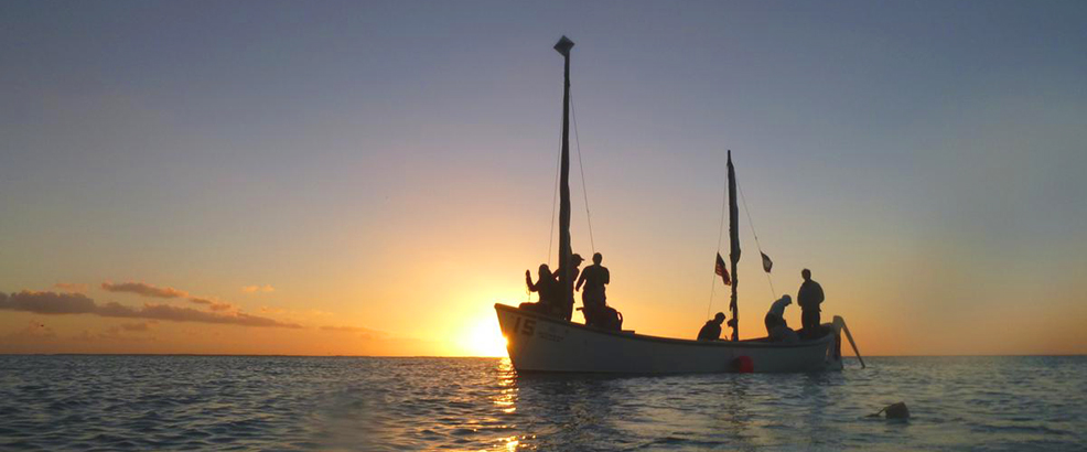 Hurricane island outward bound school case analysis essay 06 picture